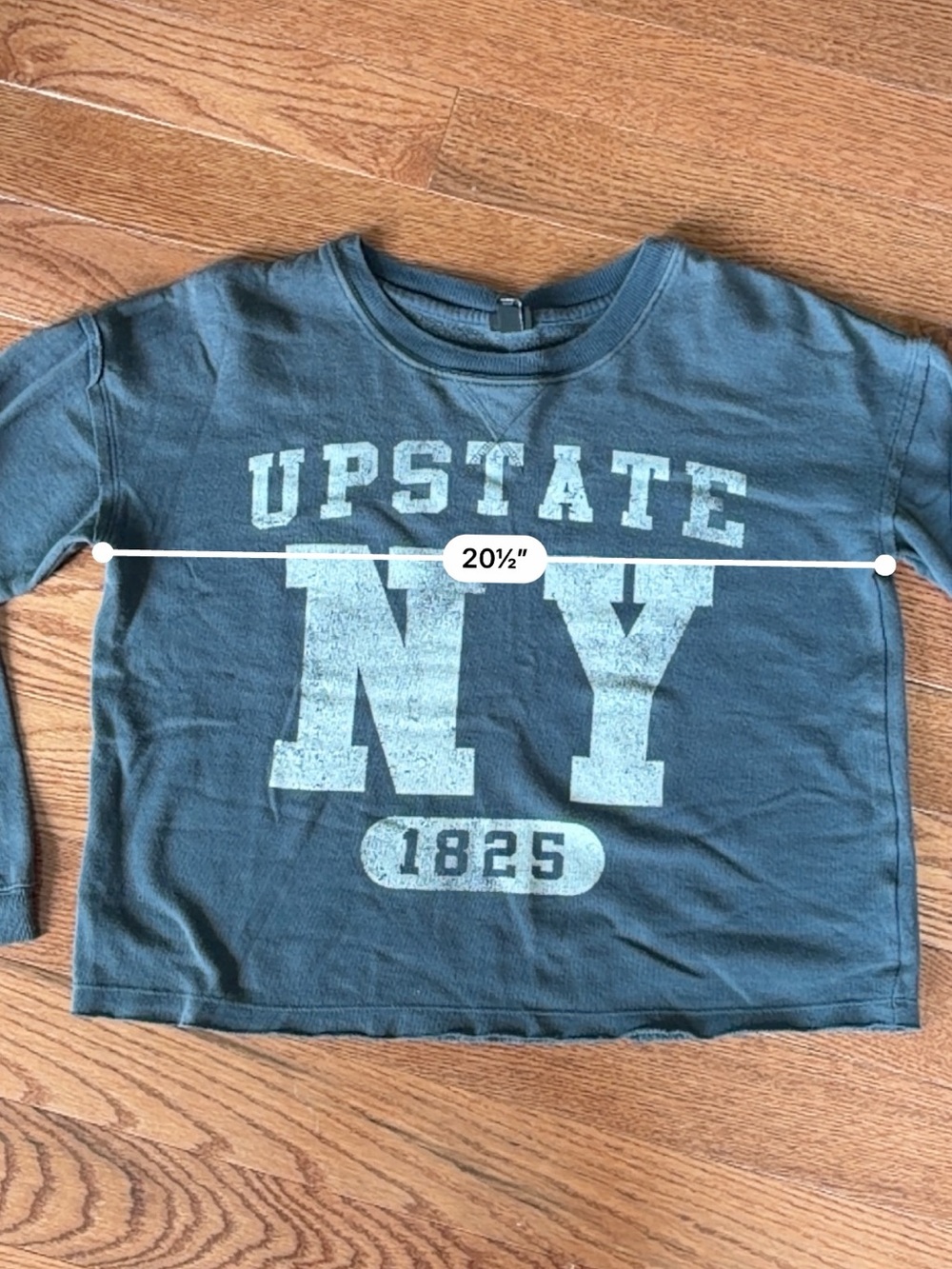 art class Blue 'Upstate NY' Graphic crewneck sweatshirt - girls XL 14/16 - Picture 5 of 6